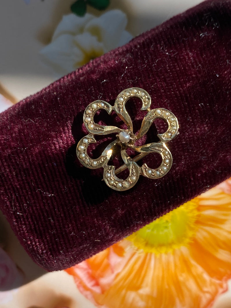 Antique Edwardian pearl starburst brooch