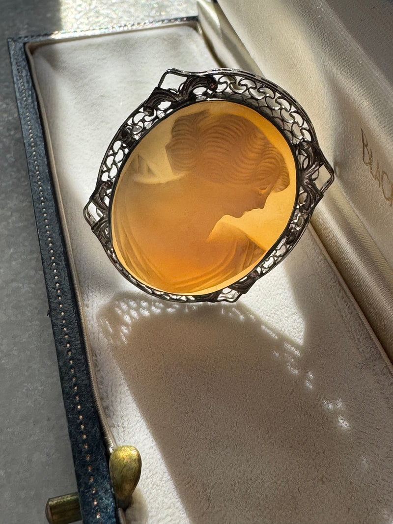 Vintage Shell Cameo Brooch