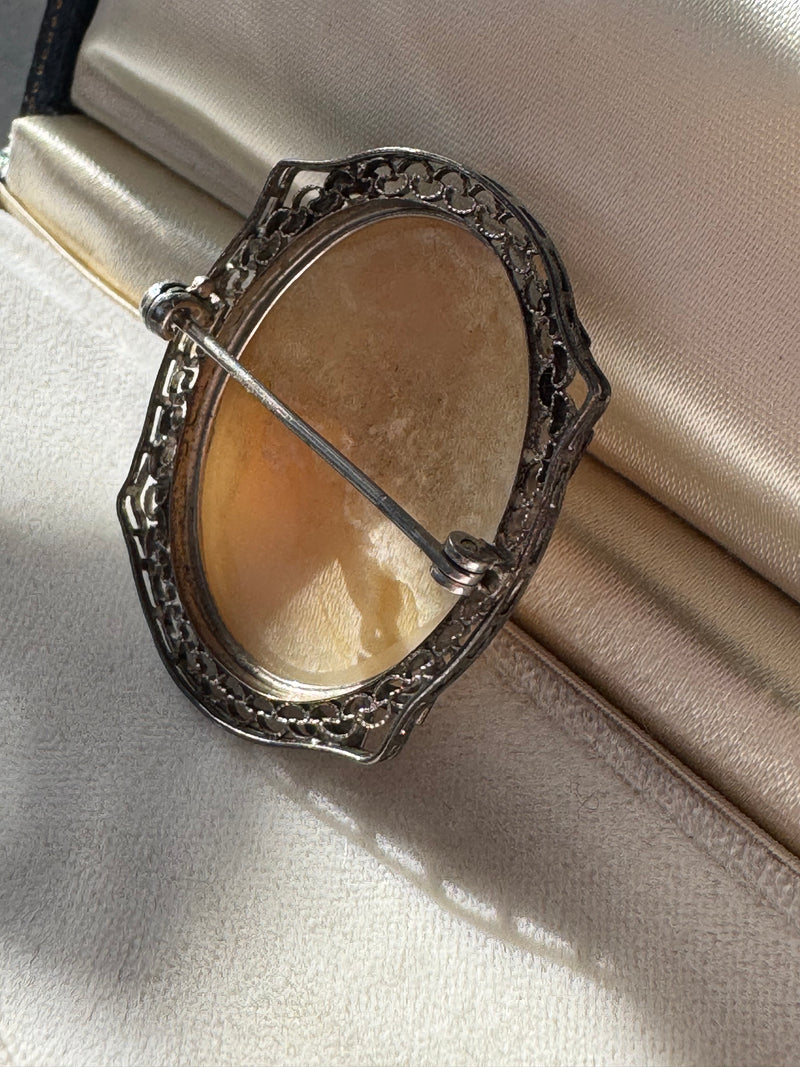 Vintage Shell Cameo Brooch